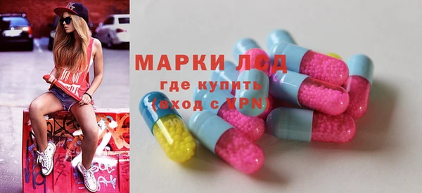 стаф Алзамай