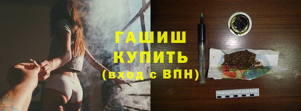 стаф Алзамай