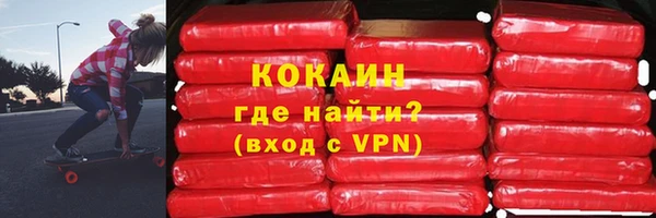 стаф Алзамай