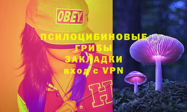 стаф Алзамай